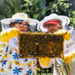 Mujeres con colmena de abeja